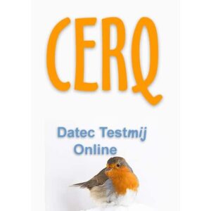 CERQ Online